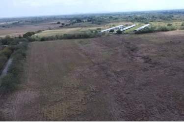 Undeveloped land parcel with transmission utility lines and Panamericana access for sale Coclé Panama