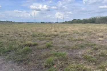 Flat cleared acreage with development potential and highway nearby in Coclé Panama