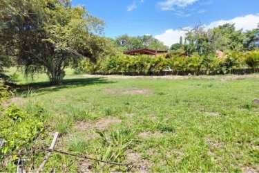 Green residential plot with trees inside Coronado Golf & Beach Resort Panama