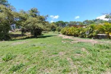 Large grassy plot with mature palm trees and sunny sky at Coronado Panama