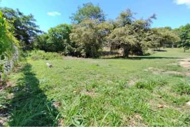 Spacious residential lot with trees under clear sunny sky in Coronado Panama
