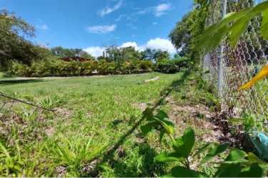 Fenced grassy property with trees and clear sky in Coronado Panama