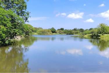 Aerial of Coronado beach golf resort, condos, lush greenery and Pacific coast