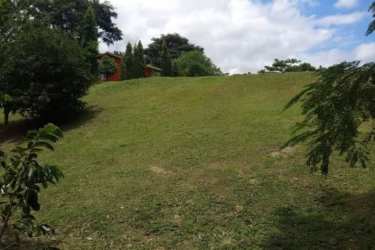 Large open grassy lot with lush trees and flat terrain in Las Uvas San Carlos Panama