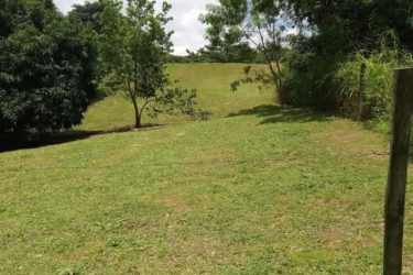 Expansive flat grassy area with scattered trees under blue sky Las Uvas San Carlos Panama