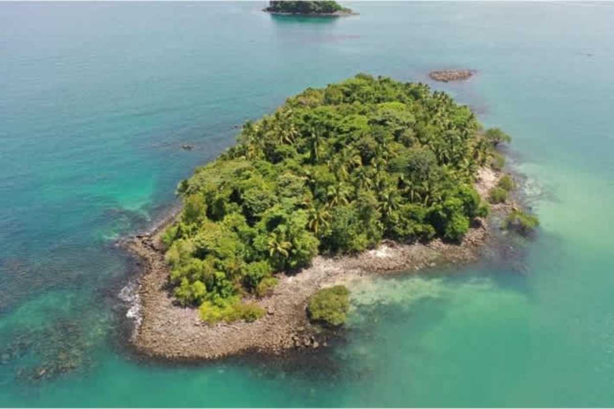 Dense tropical island forest with rocky shoreline in Perlas Gulf Panama