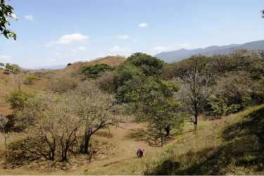 Tropical mature trees with hills and blue sky at Punta Naranjo beachfront land