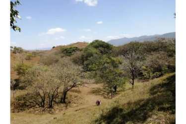 Beachfront 6 Hectares Titled Land Punta Naranjo Mariato