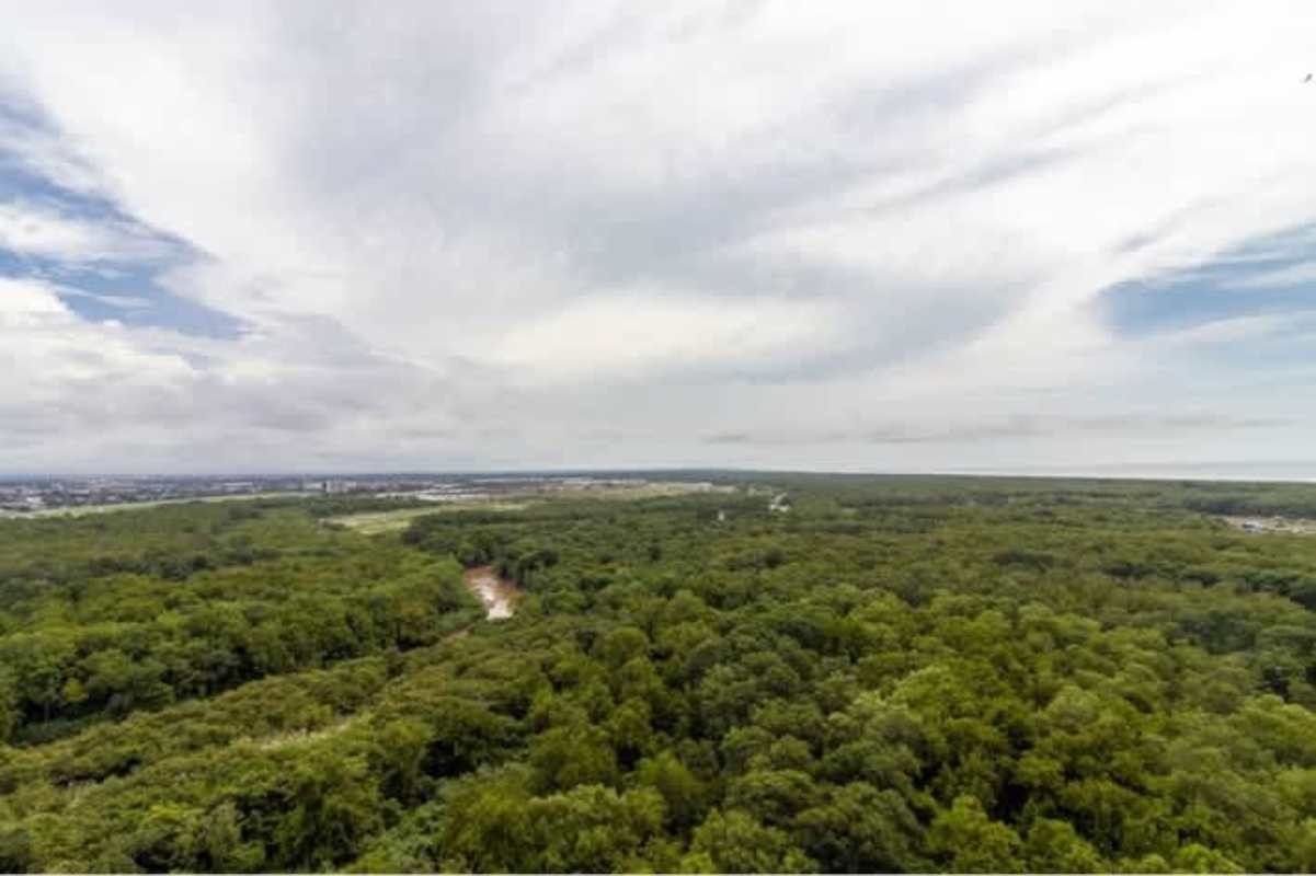 Aerial view of green spaces and urban skyline from The Ivy Panama City