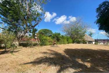 Yard with gazebo thatched rancho palm trees privacy fence beach house for sale Panama