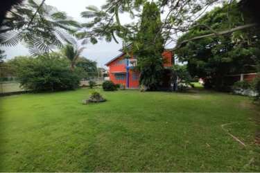 Green grassy backyard with palm trees and privacy fencing Gorgona beach property