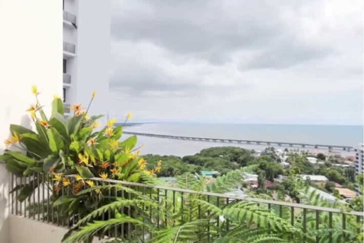 Light-filled living space with floor to ceiling windows and built-in shelves in Coco del Mar