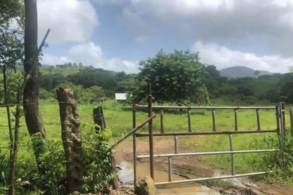 Aerial of 25ha farmland with reforestation and pastures near Chepo Panama