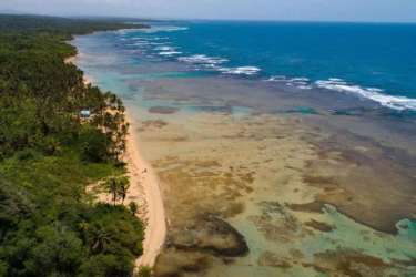 Aerial coastline with lush green forest, coral reefs and sandy shores in Cocuyé, Colón