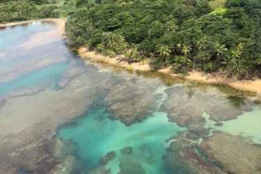 214 Hectares Beachfront Land Cocuyé Colón Eco Resort Opportunity