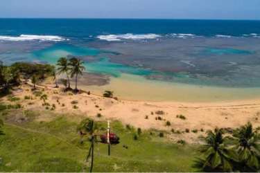 Development land near San Blas islands with forest coastline Cocuyé Colón Panama