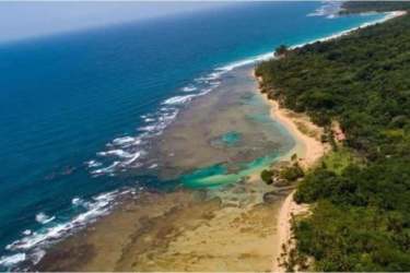 Aerial of turquoise Caribbean water meeting sandy beach and tropical forest in Cocuyé, Panama