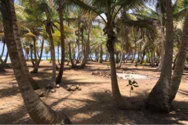 Coastal tropical beachfront land with palms and ocean view in Panama’s Colón Province