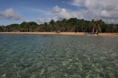 View of wide sandy beaches lined with tropical vegetation and palm trees in Cocuyé, Panama
