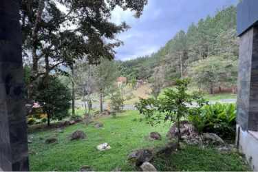 Forest view garden with rocks, trees, and mountains in the background in Altos del María Panama