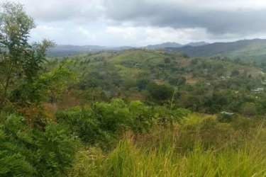 Grassy hill slope surrounded by trees in rural Panama perfect for eco-lodge or farm