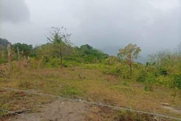 Gently rolling hills ideal for eco-tourism, agriculture or estate development Lídice Capira