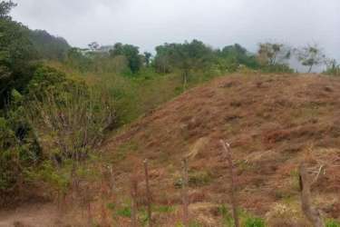 Natural hill slope in rural Capira with vegetation and fencing perfect for farming or eco projects