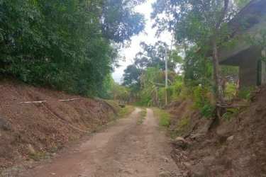 Dirt access road with lush green vegetation leading into farmland in Capira Panama