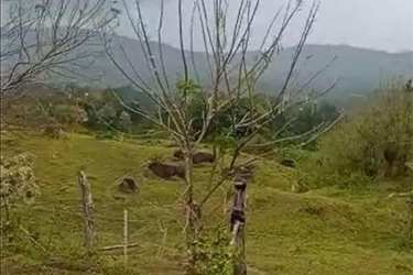 Expansive open field with rustic fence and mountain background perfect for agriculture