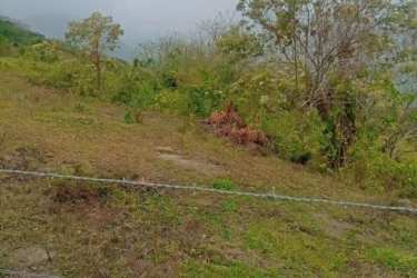 Hilly open grassland with scattered trees perfect for agricultural or development in Lídice Capira