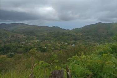 Natural green land suitable for agriculture, eco-lodges, or ranch development in rural Panama