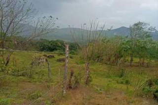 Land for Sale in Lídice - 0 bedrooms