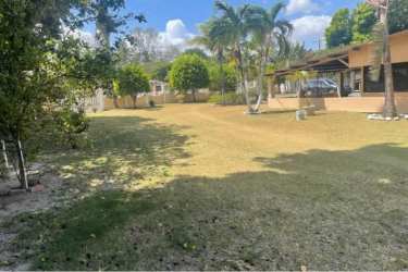 Backyard area featuring palms, wide green lawn, and covered patio in Bejuco estate Chame