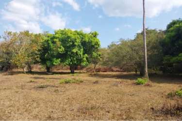 Aerial farmland with river border in San Carlos Panama