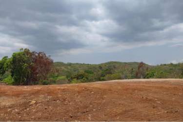 Clear flat land with river border ideal for subdivision or eco-resort Panama