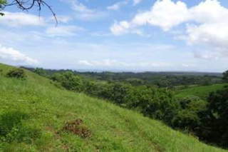 Land for Sale in Mariato - 0 bedrooms