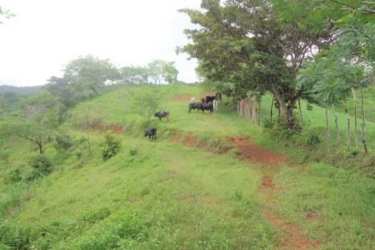 Aerial view expansive farmland with ocean views for sale Mariato Veraguas Panama