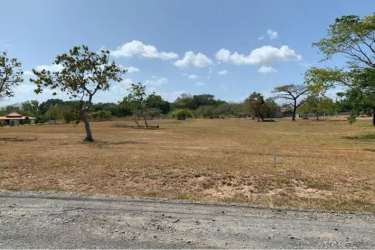 Flat land with dry grass and clear skies in gated Palmeras del Golf Coronado Panama