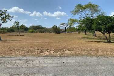 Natural vacant land in Palmeras del Golf Nueva Gorgona with trees and sky view