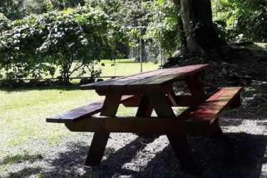 Wooded mountain lot covered with native trees in Valle del Encanto Altos de María