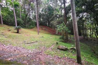 Elevated mountain land with mature forest cover in Valle del Encanto