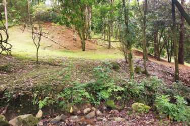 Natural wooded area with slopes and mature growth in Valle del Encanto