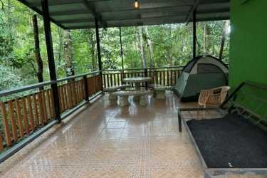 Rock path winding through dense jungle within Lake Gatun eco community Colón