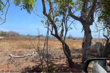 Coastal land parcel at Playa La Candelaria Pocri Los Santos for development