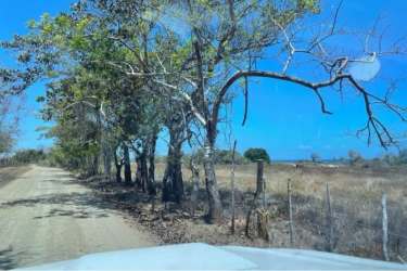 Wide beachfront development land in Pocri Los Santos ideal for hotel or residential