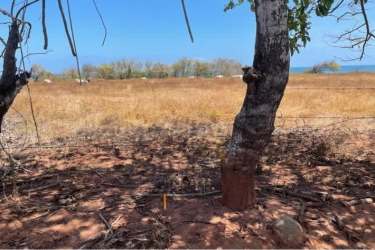 Flat oceanfront pasture ideal for hotel or residential community at Playa La Candelaria