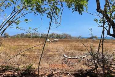 Open development land with natural grass and Pacific coast views