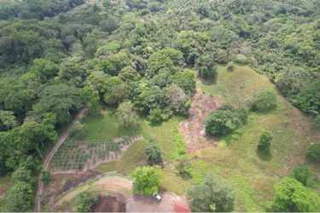 Agricultural / Development Land for Sale in Chagres - 1 bedroom
