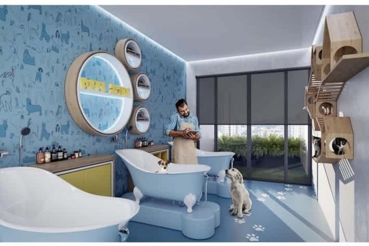 Blue pet spa grooming room with bathtubs and cat furniture in PH More El Cangrejo