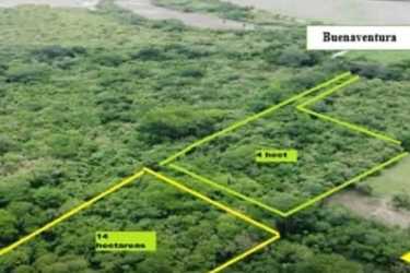 Forested land with boundaries marked close to Buenaventura Golf Resort Coclé Panama